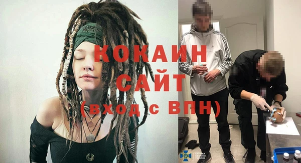 ПСИЛОЦИБИНОВЫЕ ГРИБЫ Михайловка