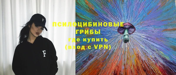 ALPHA PVP Мегион