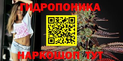 гашик Комсомольск-на-Амуре